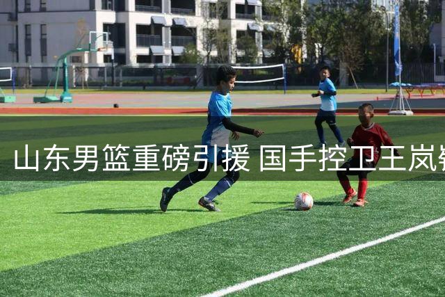 山东男篮重磅引援 国手控卫王岚嵚永久加盟
