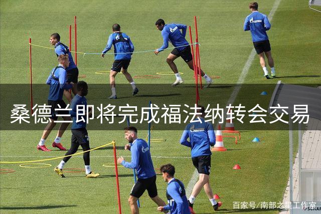 桑德兰即将完成福法纳转会交易